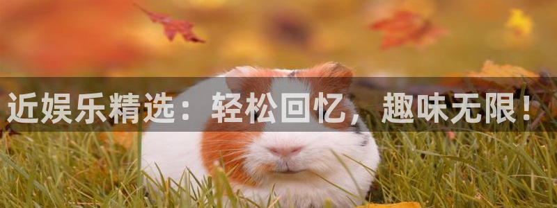 众合官网下载官网入口在哪：近娱乐精选：轻松回忆，趣味无限！