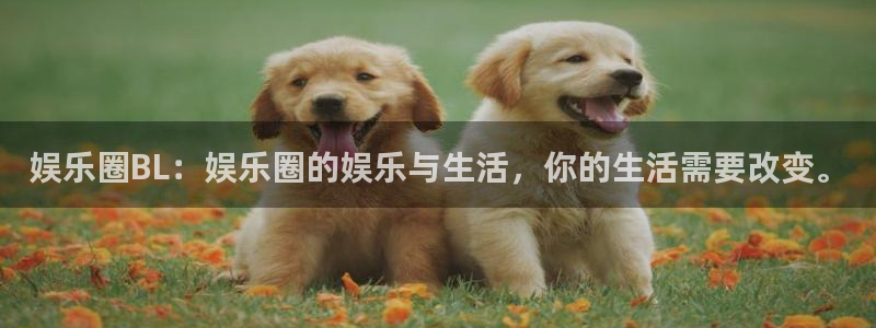 众合官网平台总代理：娱乐圈BL：娱乐圈的娱乐与生活，你的生活需要改变。