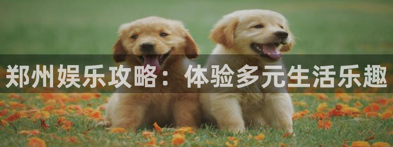 众合官网3代理：郑州娱乐攻略：体验多元生活乐趣