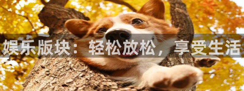 众合官网平台官网入口：娱乐版块：轻松放松，享受生活