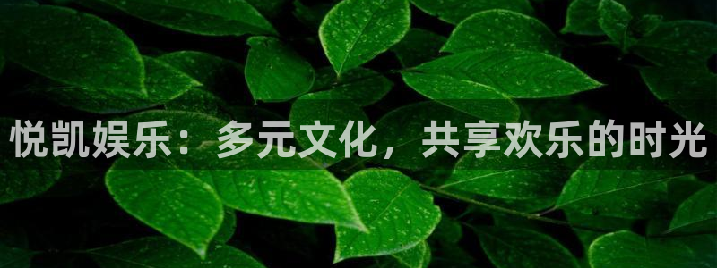 众合官网4平台注册：悦凯娱乐：多元文化，共享欢乐的时光