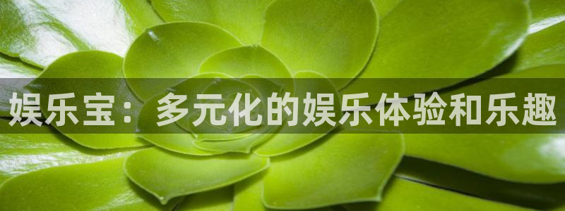 众合官网：娱乐宝：多元化的娱乐体验和乐趣