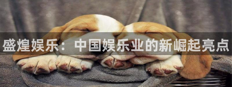 众合官网平台登录入口：盛煌娱乐：中国娱乐业的新崛起亮点