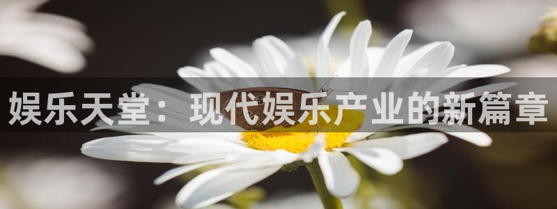 众合官网.ccmpc登录：娱乐天堂：现代娱乐产业的新篇章