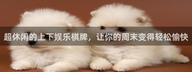 众合官网平台开户：超休闲的上下娱乐棋牌，让你的周末变得轻松愉快