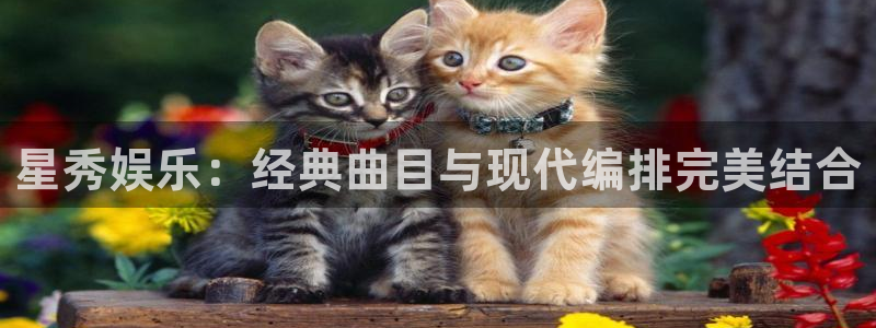 众合官网平台官网入口：星秀娱乐：经典曲目与现代编排完美结合