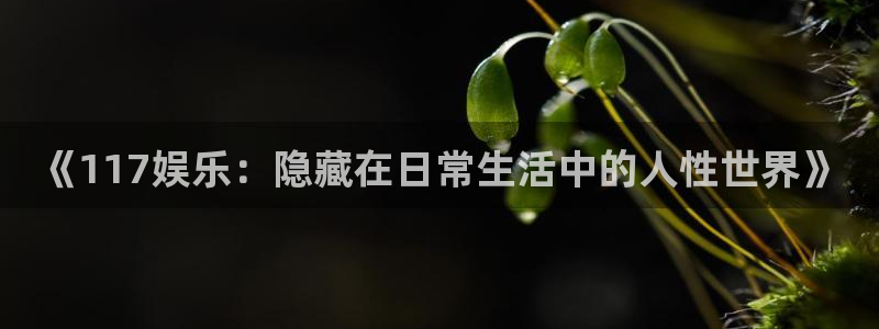 众合官网电子娱乐官网下载：《117娱乐：隐藏在日常生活中的人性世界》