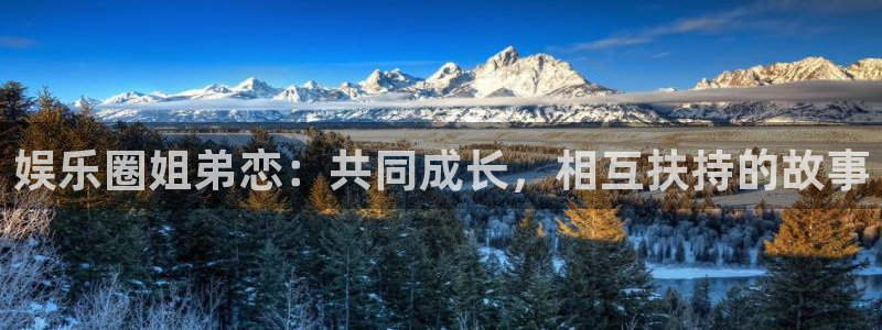 众合官网平台：娱乐圈姐弟恋：共同成长，相互扶持的故事