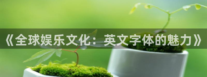 众合官网是正规平台吗：《全球娱乐文化：英文字体的魅力》
