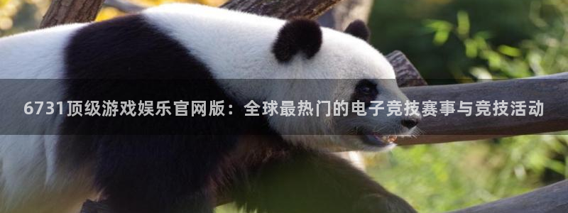 众合官网体育注册：6731顶级游戏娱乐官网版：全球最热门的电子竞技赛事与竞技活动