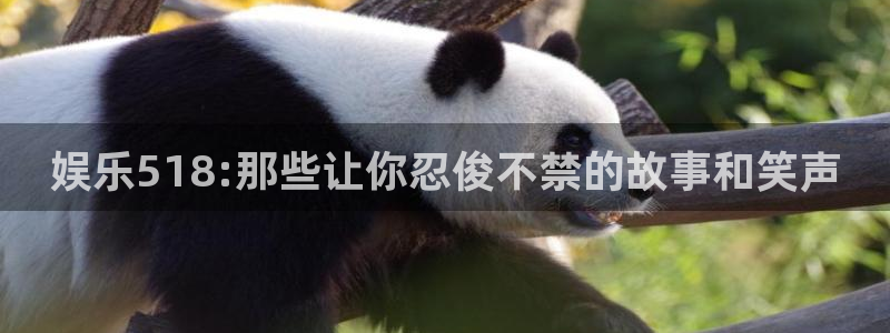 众合官网体育注册代理：娱乐518:那些让你忍俊不禁的故事和笑声