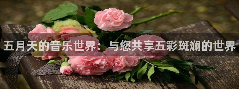 众合官网路线1：五月天的音乐世界：与您共享五彩斑斓的世界