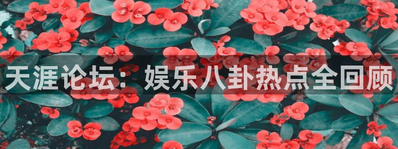 众合官网2登录入口：天涯论坛：娱乐八卦热点全回顾