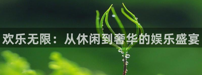 众合官网体育官网注册：欢乐无限：从休闲到奢华的娱乐盛宴