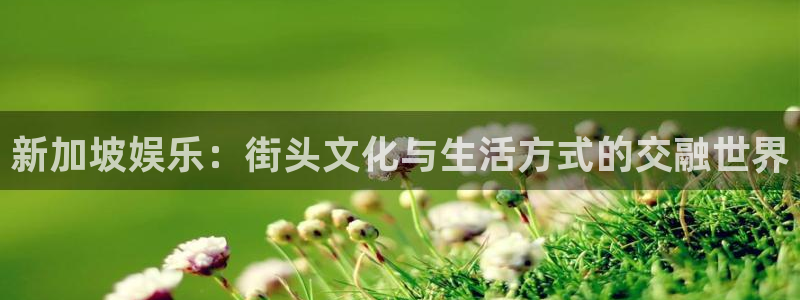 众合官网股份：新加坡娱乐：街头文化与生活方式的交融世界