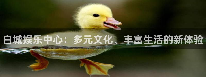 德国众合官网集团：白城娱乐中心：多元文化、丰富生活的新体验